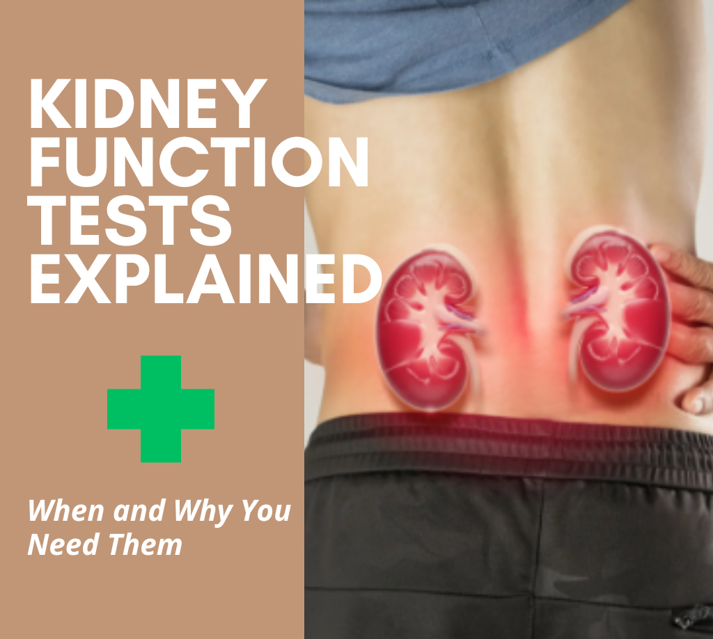 Kidney Function Tests Explained